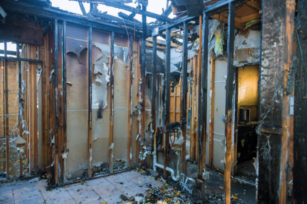 Professional Fire Damage Removal technician working in Kenyon, MN